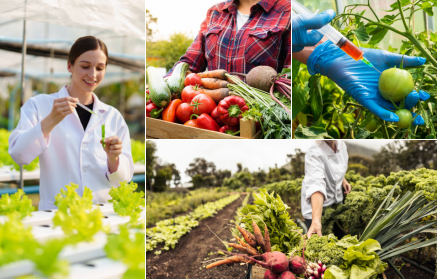 ГМО храни: Спасение или заплаха?