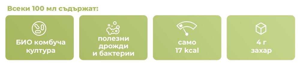 BIO Kombucha - GymBeam