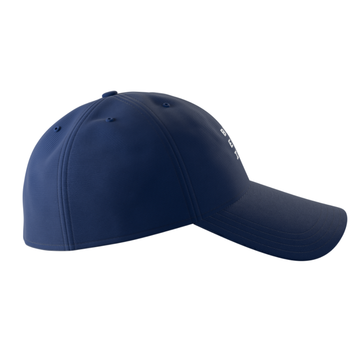 302 Laser Cap - Blueprint by Bryan Johnson single_variant