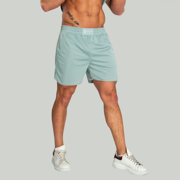 Шорти Nebula Stone Blue - STRIX M