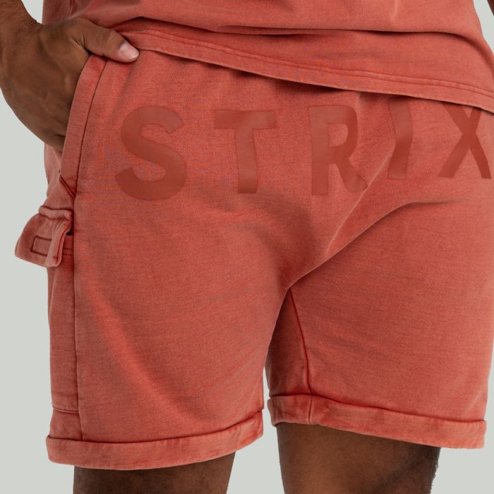 Шорти Washed Terra - STRIX XL