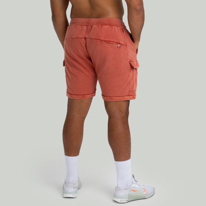 Шорти Washed Terra - STRIX XL