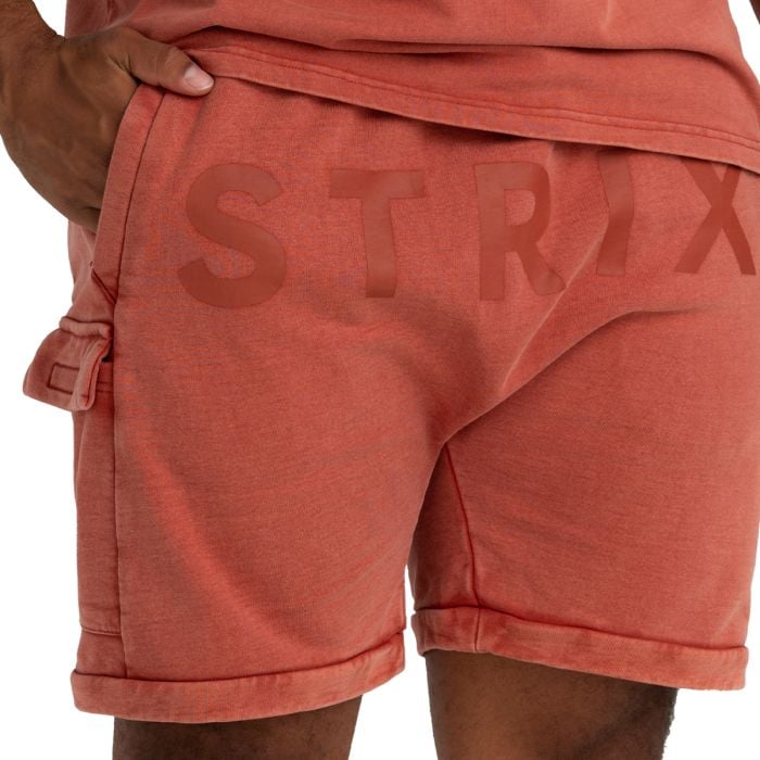 Шорти Washed Terra - STRIX XL